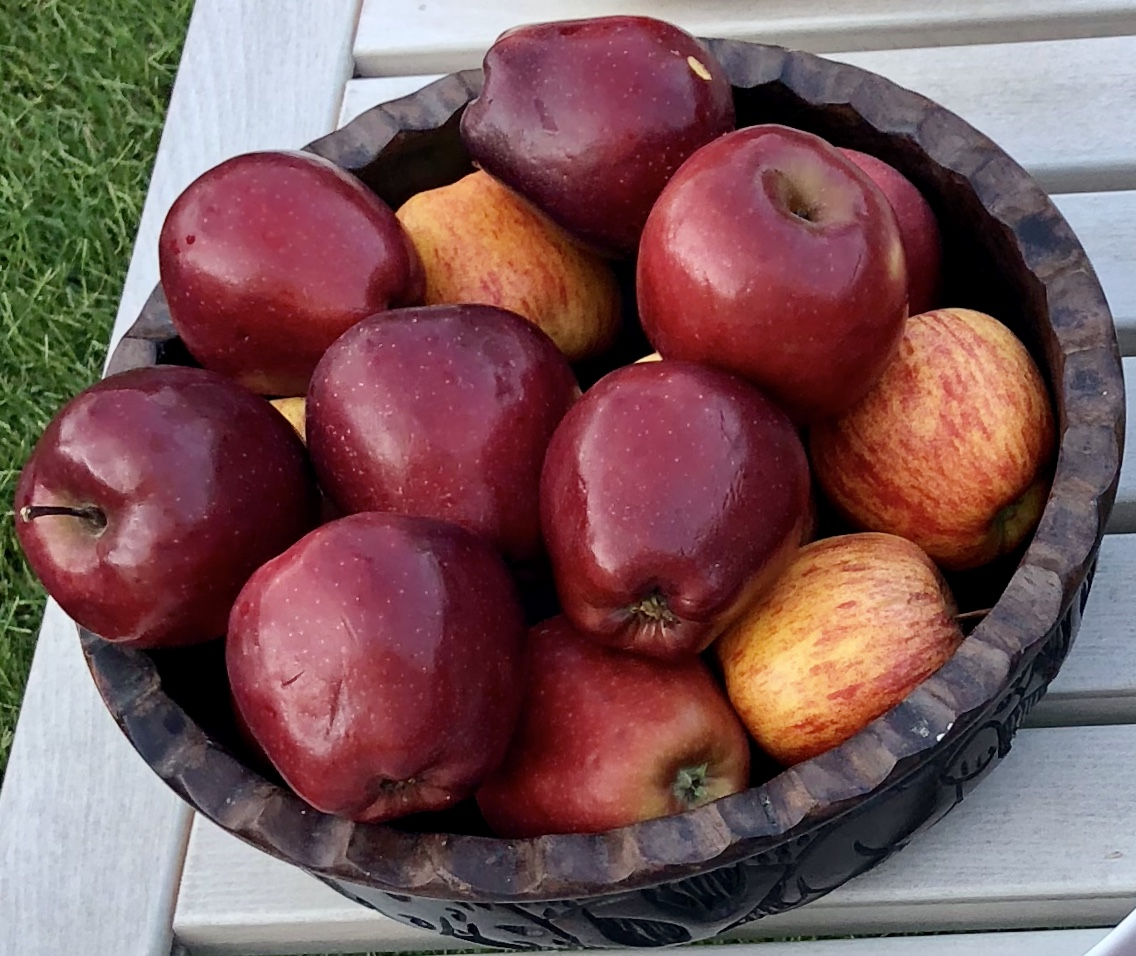 Functional Medicine Cardiometabolic Food Plan
